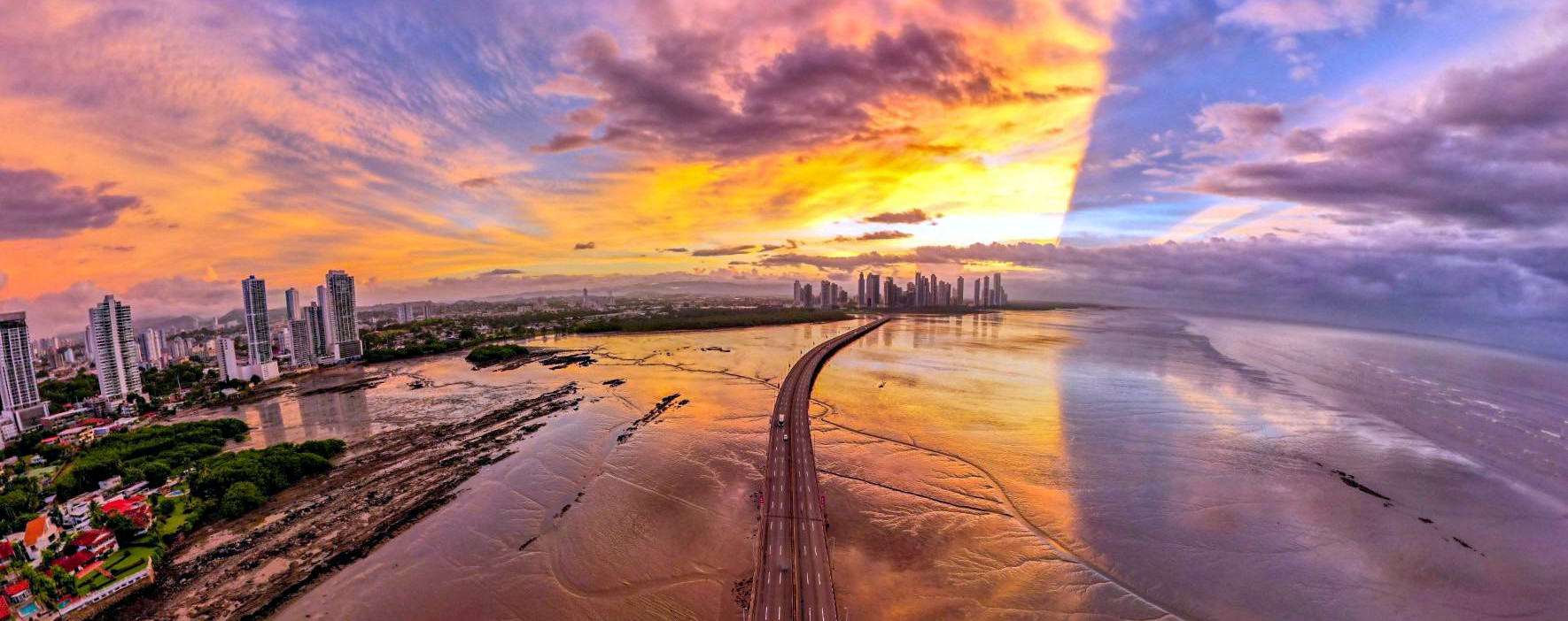 Senior Sustainability Leaders Tell Us Why ESG Won’t Die in 2025