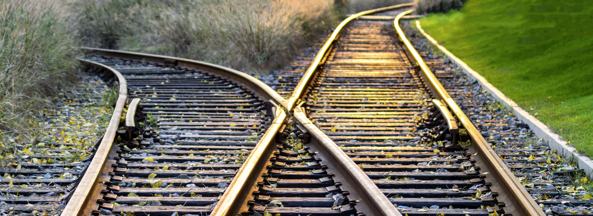 As the US Renounces the Clean Economy, Smart Companies Can Carry On